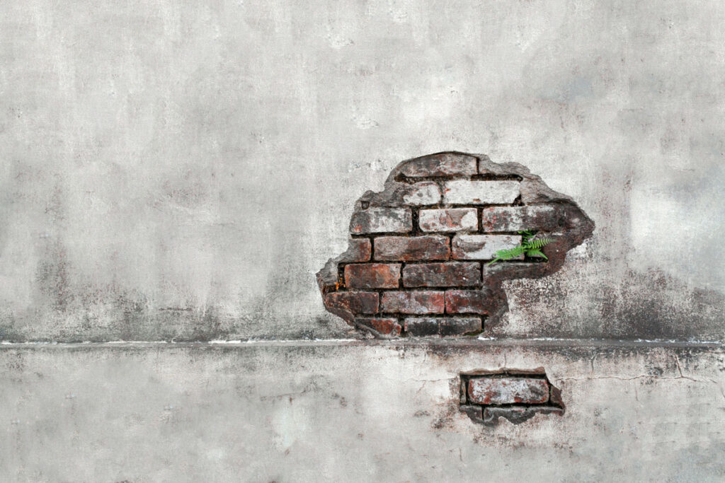 Damp Wall historic buildings photo